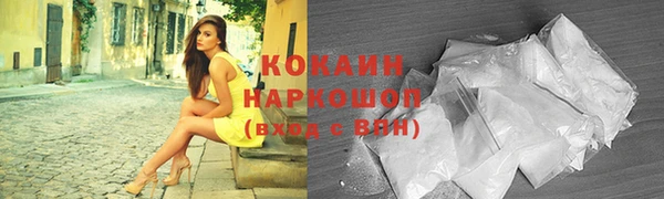 тгк Козельск