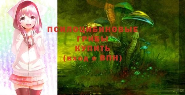 тгк Козельск