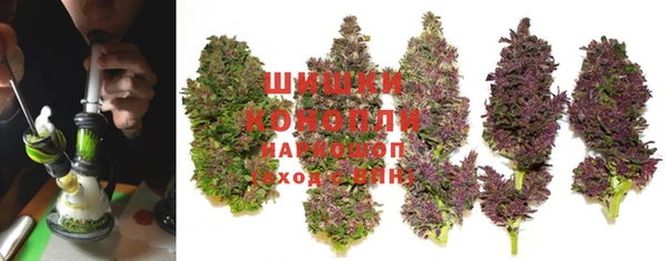 тгк Козельск